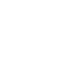 CEO icon