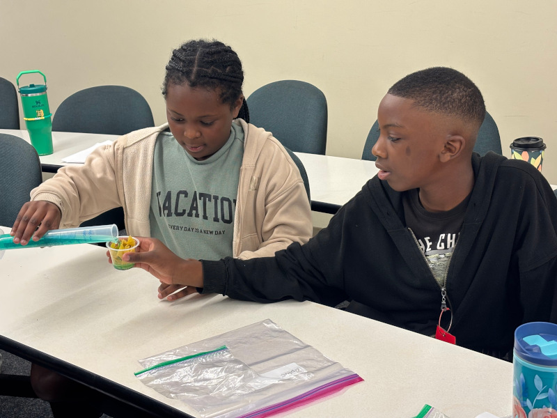 Students working on activity